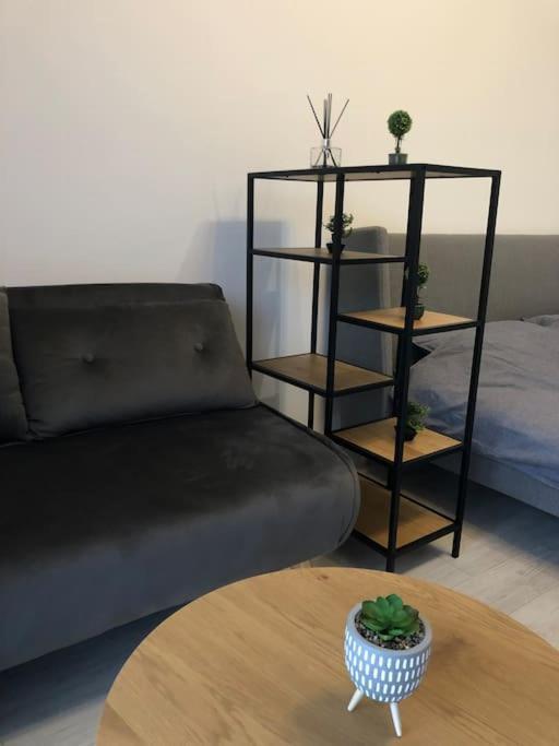 Apartament Studio Cu Gradina Proprie Popesti-Leordeni Zewnętrze zdjęcie